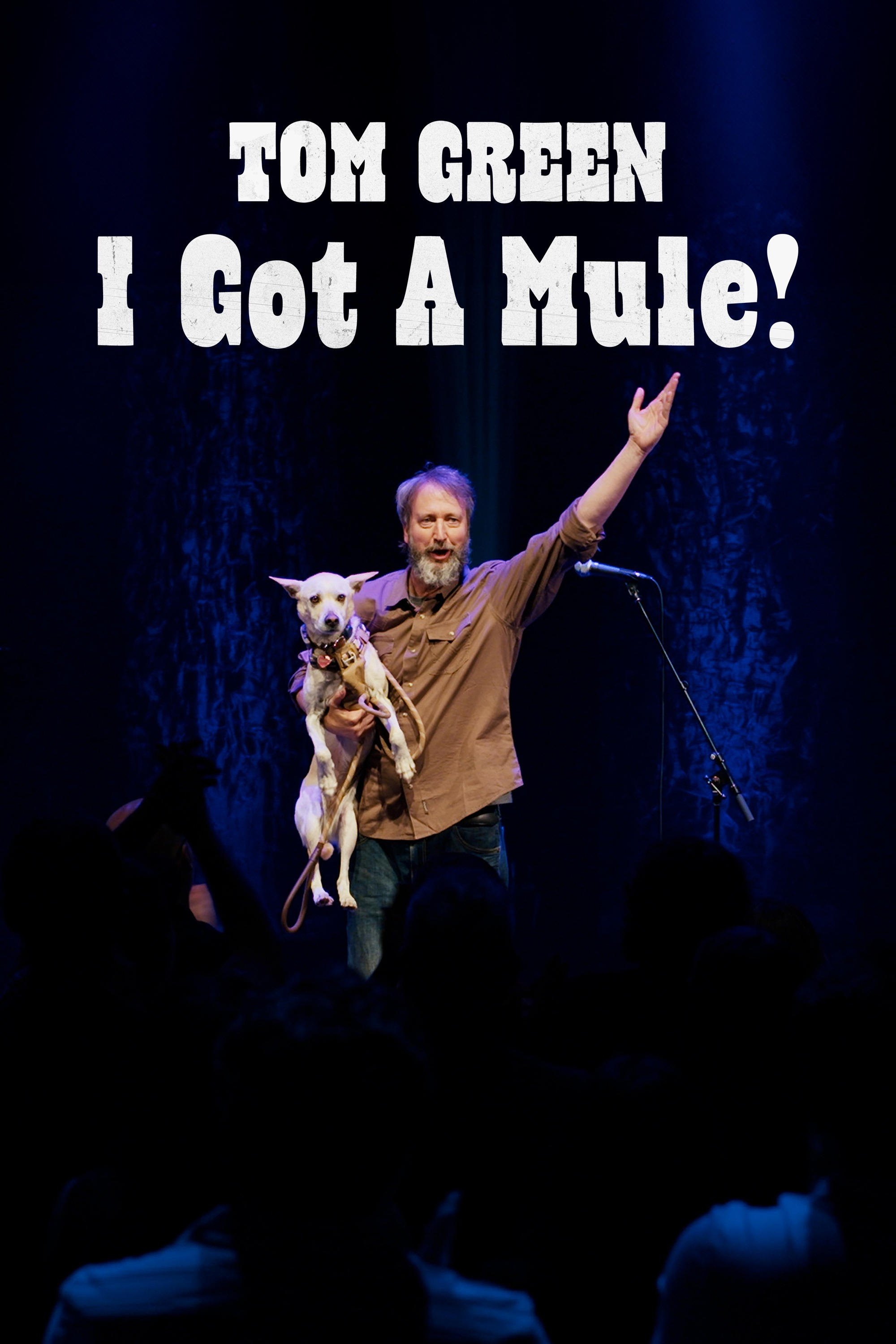 Постер Tom Green: I Got a Mule!